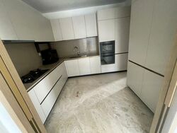 The Avenir (D9), Condominium #458746561